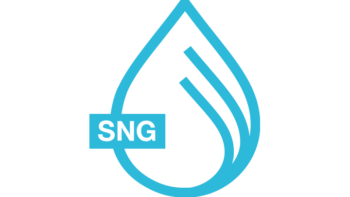 SNG Icon Synthetic natural gas