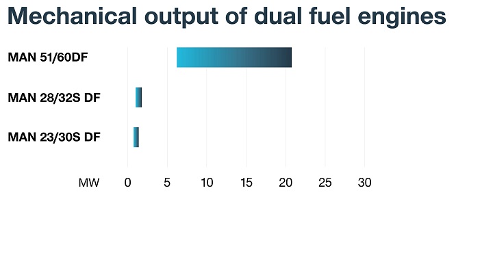 Dual-fuel-engines
