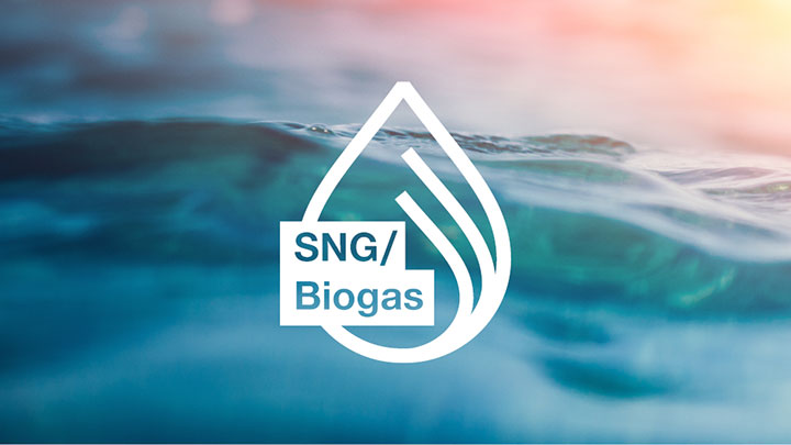 SNG/Biogas SNG/Biogas
