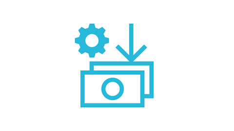 Icon-Costs Icon cost opitmization